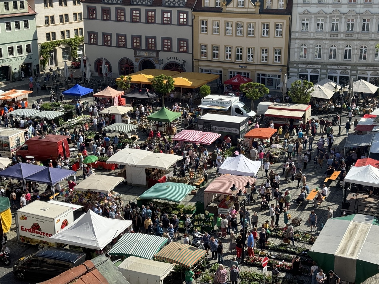 Historischer Marktplatz in Naumburg mit Rathaus und Cafés