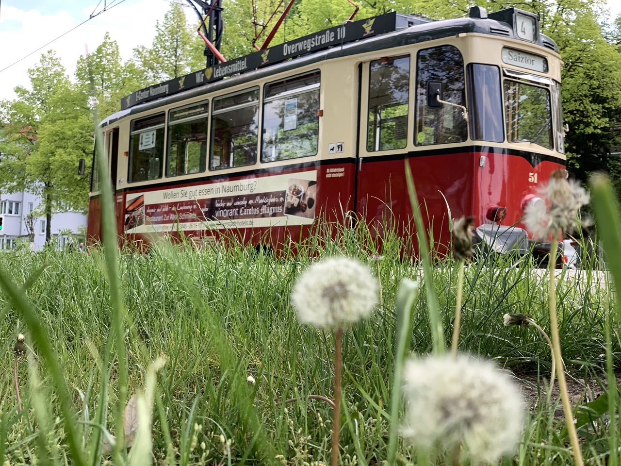 Historische Straßenbahn Wilde Zicke in der Naumburger Altstadt