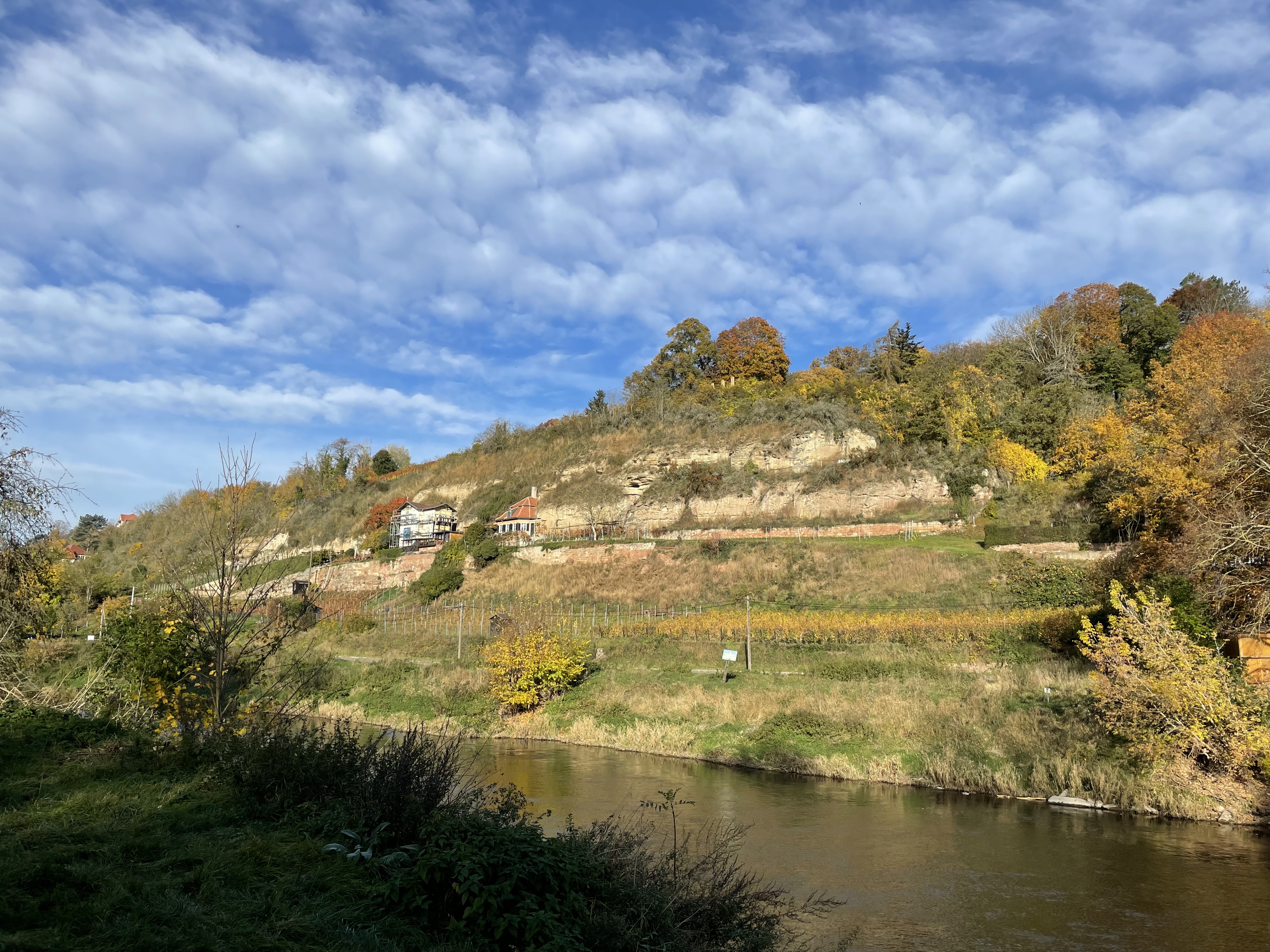 Weinberge in Saale-Unstrut – apartment naumburg